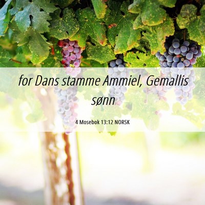 Picture 06 - 4 Mosebok 13:12 NORSK - for Dans stamme Ammiel, Gemallis - Bible Verse Picture
