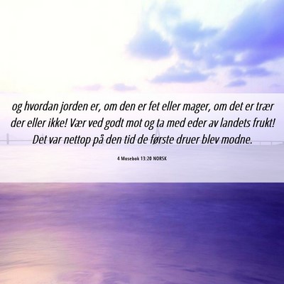 Picture 06 - 4 Mosebok 13:20 NORSK - og hvordan jorden er, om den er fet eller mager, - Bible Verse Picture