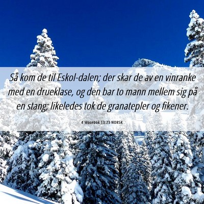 Picture 06 - 4 Mosebok 13:23 NORSK - Så kom de til Eskol-dalen; der skar de av en - Bible Verse Picture