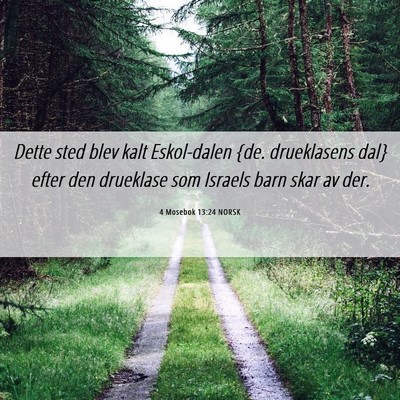 Picture 06 - 4 Mosebok 13:24 NORSK - Dette sted blev kalt Eskol-dalen {de. drueklasens - Bible Verse Picture