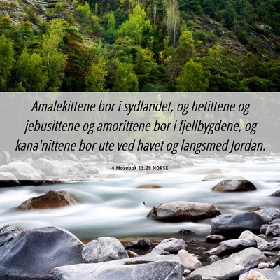 Picture 06 - 4 Mosebok 13:29 NORSK - Amalekittene bor i sydlandet, og hetittene og - Bible Verse Picture