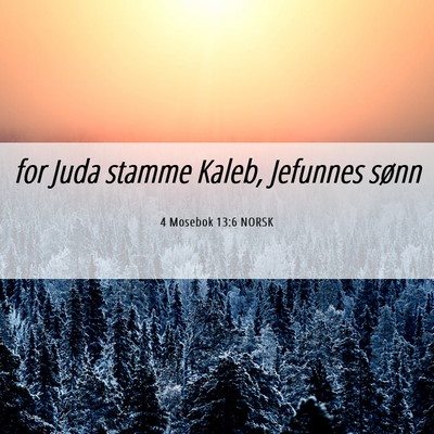 Picture 06 - 4 Mosebok 13:6 NORSK - for Juda stamme Kaleb, Jefunnes - Bible Verse Picture