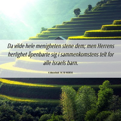 Picture 06 - 4 Mosebok 14:10 NORSK - Da vilde hele menigheten stene dem; men Herrens - Bible Verse Picture