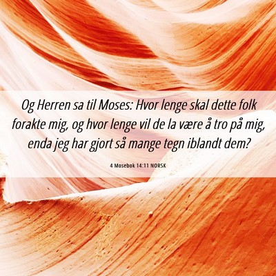 Picture 06 - 4 Mosebok 14:11 NORSK - Og Herren sa til Moses: Hvor lenge skal dette - Bible Verse Picture
