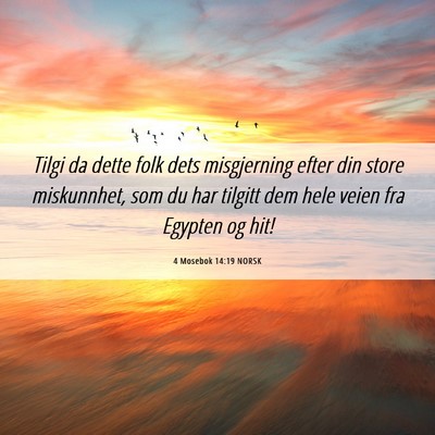 Picture 06 - 4 Mosebok 14:19 NORSK - Tilgi da dette folk dets misgjerning efter din - Bible Verse Picture