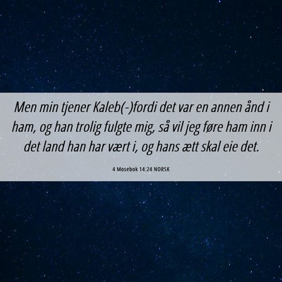 Picture 06 - 4 Mosebok 14:24 NORSK - Men min tjener Kaleb(-)fordi det var en annen - Bible Verse Picture