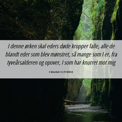 Picture 06 - 4 Mosebok 14:29 NORSK - I denne ørken skal eders døde kropper falle, - Bible Verse Picture