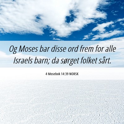 Picture 06 - 4 Mosebok 14:39 NORSK - Og Moses bar disse ord frem for alle Israels - Bible Verse Picture