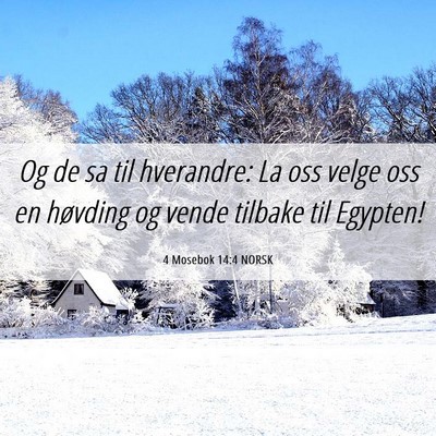 Picture 06 - 4 Mosebok 14:4 NORSK - Og de sa til hverandre: La oss velge oss en - Bible Verse Picture