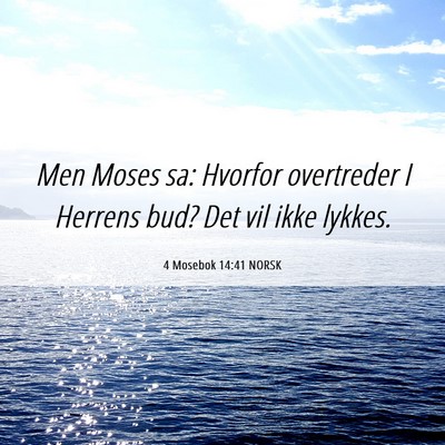 Picture 06 - 4 Mosebok 14:41 NORSK - Men Moses sa: Hvorfor overtreder I Herrens bud? - Bible Verse Picture