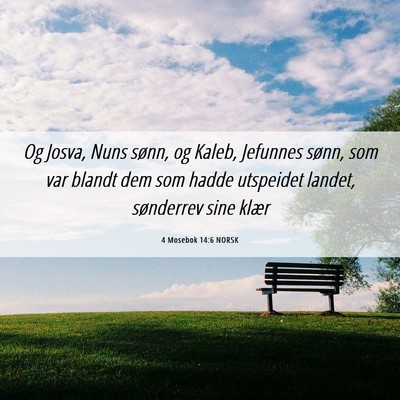 Picture 06 - 4 Mosebok 14:6 NORSK - Og Josva, Nuns sønn, og Kaleb, Jefunnes sønn, - Bible Verse Picture