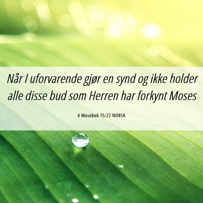 Picture 06 - 4 Mosebok 15:22 NORSK - Når I uforvarende gjør en synd og ikke holder - Bible Verse Picture