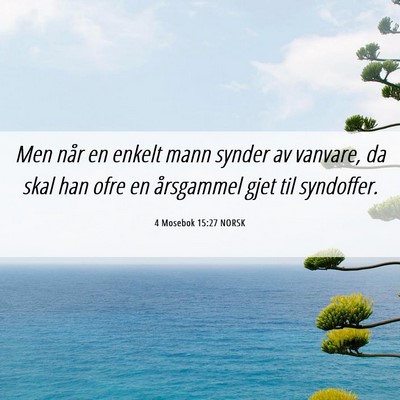 Picture 06 - 4 Mosebok 15:27 NORSK - Men når en enkelt mann synder av vanvare, da - Bible Verse Picture