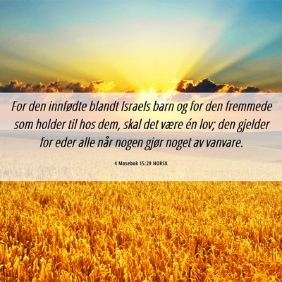 Picture 06 - 4 Mosebok 15:29 NORSK - For den innfødte blandt Israels barn og for den - Bible Verse Picture