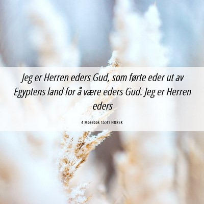 Picture 06 - 4 Mosebok 15:41 NORSK - Jeg er Herren eders Gud, som førte eder ut av - Bible Verse Picture