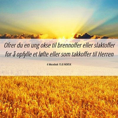 Picture 06 - 4 Mosebok 15:8 NORSK - Ofrer du en ung okse til brennoffer eller - Bible Verse Picture