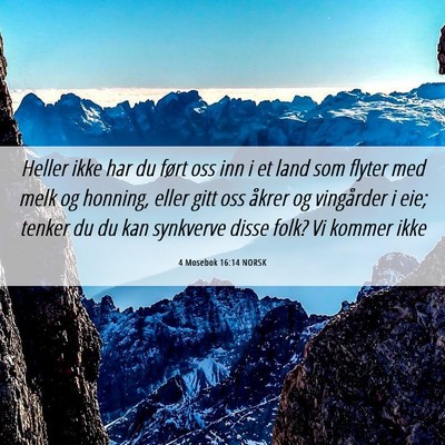 Picture 06 - 4 Mosebok 16:14 NORSK - Heller ikke har du ført oss inn i et land som - Bible Verse Picture