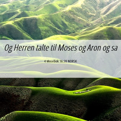 Picture 06 - 4 Mosebok 16:20 NORSK - Og Herren talte til Moses og Aron og - Bible Verse Picture