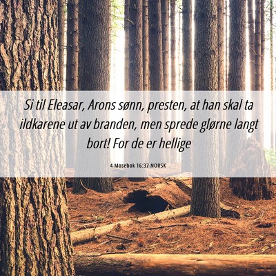 Picture 06 - 4 Mosebok 16:37 NORSK - Si til Eleasar, Arons sønn, presten, at han skal - Bible Verse Picture