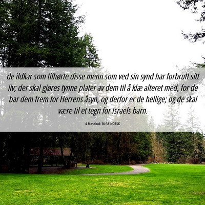 Picture 06 - 4 Mosebok 16:38 NORSK - de ildkar som tilhørte disse menn som ved sin - Bible Verse Picture