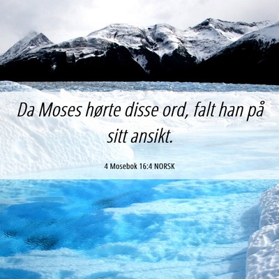 Picture 06 - 4 Mosebok 16:4 NORSK - Da Moses hørte disse ord, falt han på sitt - Bible Verse Picture