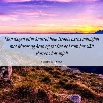 Picture 06 - 4 Mosebok 16:41 NORSK - Men dagen efter knurret hele Israels barns - Bible Verse Picture