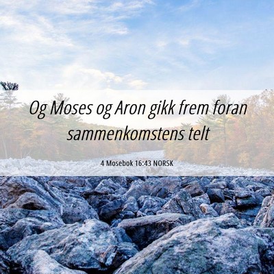 Picture 06 - 4 Mosebok 16:43 NORSK - Og Moses og Aron gikk frem foran sammenkomstens - Bible Verse Picture