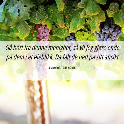 Picture 06 - 4 Mosebok 16:45 NORSK - Gå bort fra denne menighet, så vil jeg gjøre - Bible Verse Picture