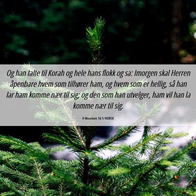 Picture 06 - 4 Mosebok 16:5 NORSK - Og han talte til Korah og hele hans flokk og sa: - Bible Verse Picture