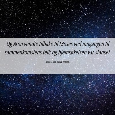 Picture 06 - 4 Mosebok 16:50 NORSK - Og Aron vendte tilbake til Moses ved inngangen - Bible Verse Picture