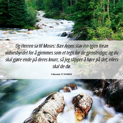 Picture 06 - 4 Mosebok 17:10 NORSK - Og Herren sa til Moses: Bær Arons stav inn igjen - Bible Verse Picture
