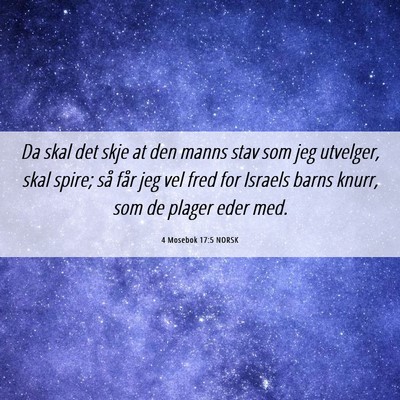 Picture 06 - 4 Mosebok 17:5 NORSK - Da skal det skje at den manns stav som jeg - Bible Verse Picture