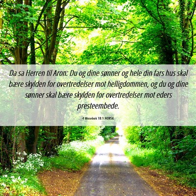 Picture 06 - 4 Mosebok 18:1 NORSK - Da sa Herren til Aron: Du og dine sønner og hele - Bible Verse Picture