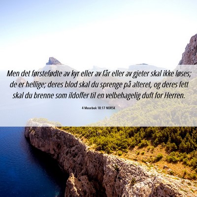 Picture 06 - 4 Mosebok 18:17 NORSK - Men det førstefødte av kyr eller av får eller - Bible Verse Picture