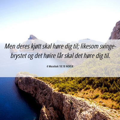 Picture 06 - 4 Mosebok 18:18 NORSK - Men deres kjøtt skal høre dig til; likesom - Bible Verse Picture