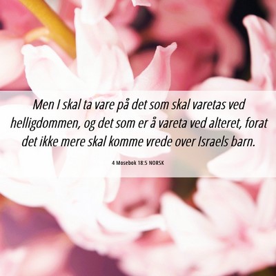 Picture 06 - 4 Mosebok 18:5 NORSK - Men I skal ta vare på det som skal varetas ved - Bible Verse Picture