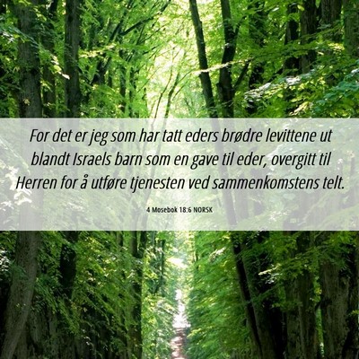 Picture 06 - 4 Mosebok 18:6 NORSK - For det er jeg som har tatt eders brødre - Bible Verse Picture