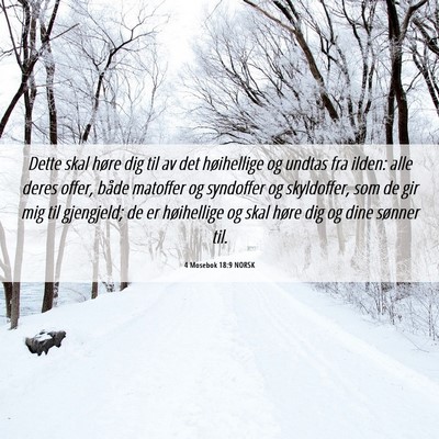 Picture 06 - 4 Mosebok 18:9 NORSK - Dette skal høre dig til av det høihellige og - Bible Verse Picture