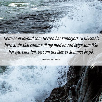 Picture 06 - 4 Mosebok 19:2 NORSK - Dette er et lovbud som Herren har kunngjort: Si - Bible Verse Picture