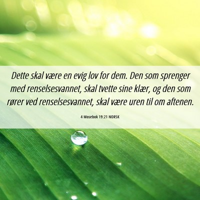 Picture 06 - 4 Mosebok 19:21 NORSK - Dette skal være en evig lov for dem. Den som - Bible Verse Picture
