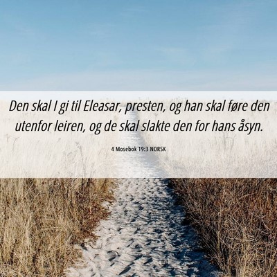 Picture 06 - 4 Mosebok 19:3 NORSK - Den skal I gi til Eleasar, presten, og han skal - Bible Verse Picture