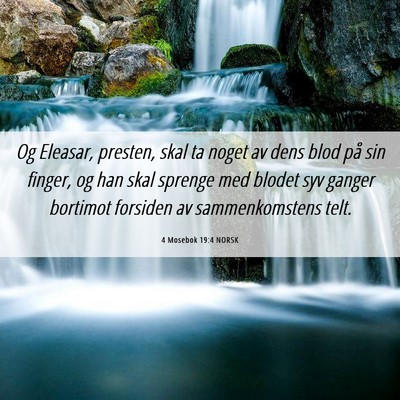 Picture 06 - 4 Mosebok 19:4 NORSK - Og Eleasar, presten, skal ta noget av dens blod - Bible Verse Picture