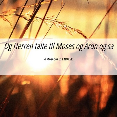 Picture 06 - 4 Mosebok 2:1 NORSK - Og Herren talte til Moses og Aron og - Bible Verse Picture