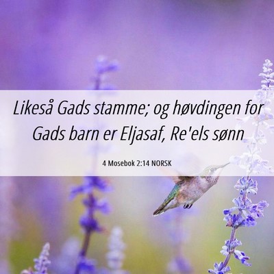 Picture 06 - 4 Mosebok 2:14 NORSK - Likeså Gads stamme; og høvdingen for Gads barn - Bible Verse Picture