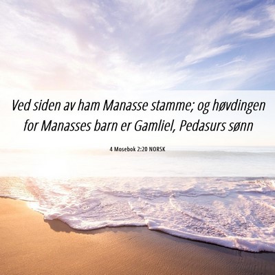 Picture 06 - 4 Mosebok 2:20 NORSK - Ved siden av ham Manasse stamme; og høvdingen - Bible Verse Picture