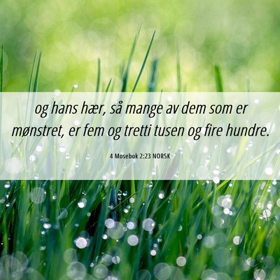 Picture 06 - 4 Mosebok 2:23 NORSK - og hans hær, så mange av dem som er mønstret, - Bible Verse Picture