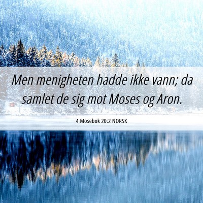 Picture 06 - 4 Mosebok 20:2 NORSK - Men menigheten hadde ikke vann; da samlet de sig - Bible Verse Picture