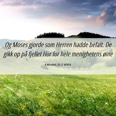 Picture 06 - 4 Mosebok 20:27 NORSK - Og Moses gjorde som Herren hadde befalt. De gikk - Bible Verse Picture