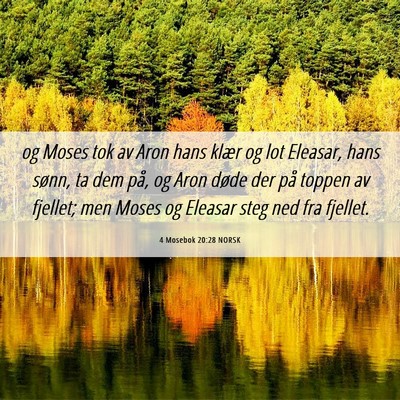 Picture 06 - 4 Mosebok 20:28 NORSK - og Moses tok av Aron hans klær og lot Eleasar, - Bible Verse Picture