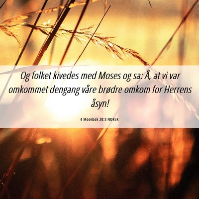 Picture 06 - 4 Mosebok 20:3 NORSK - Og folket kivedes med Moses og sa: Å, at vi var - Bible Verse Picture